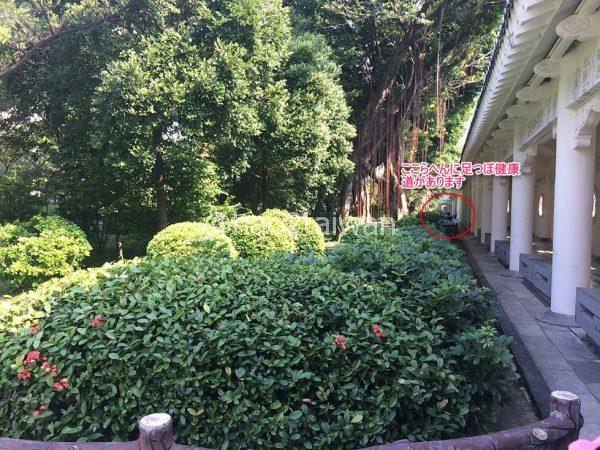 20141015-131827-210-0_R